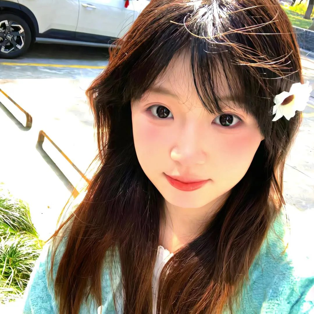 克努特和他的朋友们